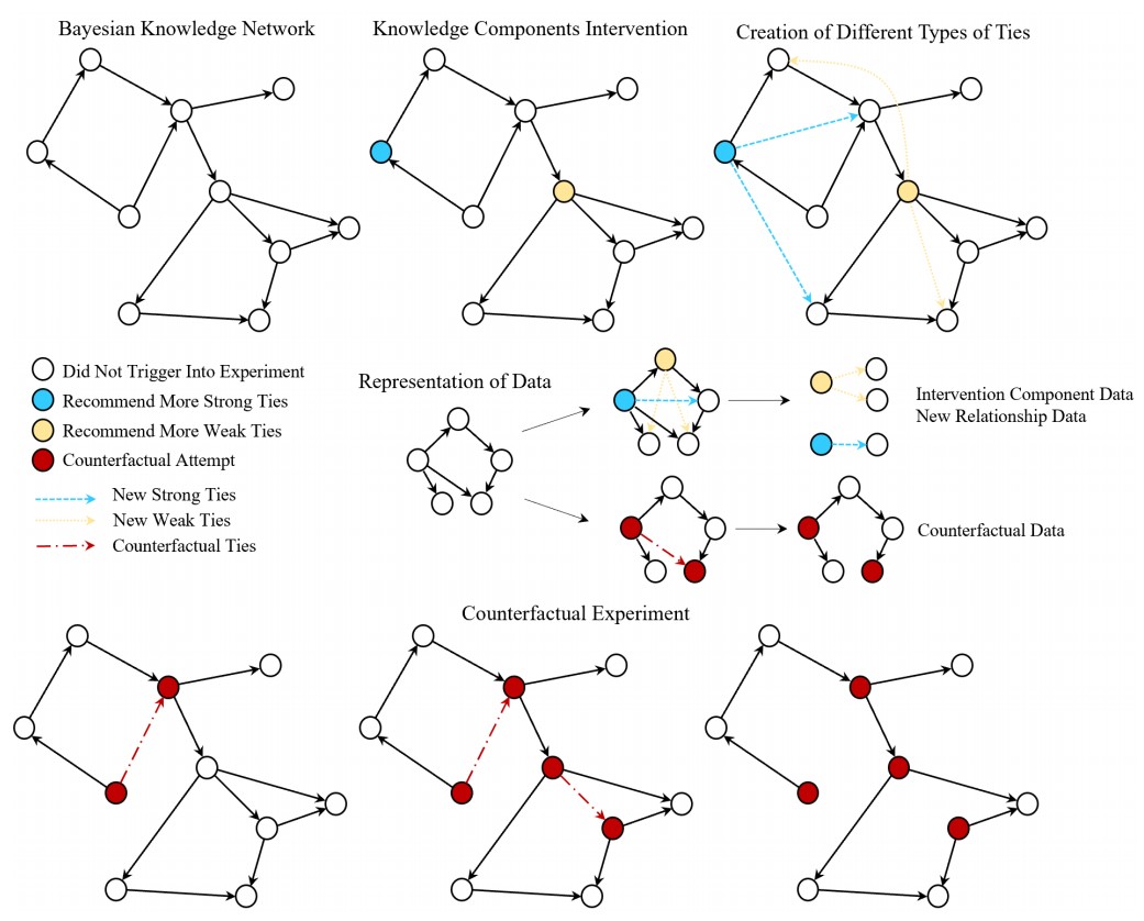 Enhancing Explainability of Knowledge Learning Paths: Causal Knowledge Networks